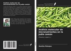 Capa do livro de Análisis molecular de micronutrientes en la judía común 