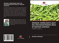 Portada del libro de Analyse moléculaire pour les micronutriments dans le haricot commun