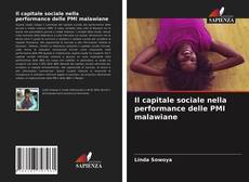 Bookcover of Il capitale sociale nella performance delle PMI malawiane