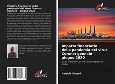 Bookcover of Impatto finanziario della pandemia del virus Corona: gennaio - giugno 2020