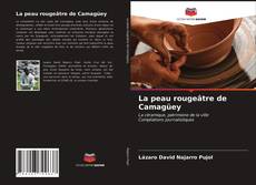 Обложка La peau rougeâtre de Camagüey