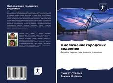 Bookcover of Омоложение городских водоемов