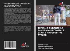 Bookcover of TURISMO DURANTE LA PANDEMIA DI COVID-19: STATI E PROSPETTIVE ATTUALI