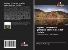 Bookcover of Impatti, benefici e gestione sostenibile del rischio