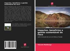 Capa do livro de Impactos, benefícios e gestão sustentável do risco 