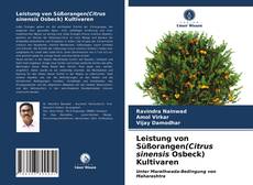 Leistung von Süßorangen(Citrus sinensis Osbeck) Kultivaren kitap kapağı