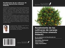 Bookcover of Rendimiento de los cultivares de naranja dulce(Citrus sinensis Osbeck)