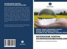 Bookcover of HETEROGENE FENTON-SICKERWASSERBEHANDLUNG