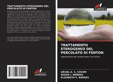 Bookcover of TRATTAMENTO ETEROGENEO DEL PERCOLATO DI FENTON