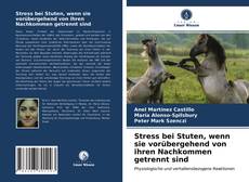 Copertina di Stress bei Stuten, wenn sie vorübergehend von ihren Nachkommen getrennt sind