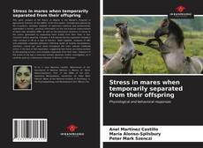 Borítókép a  Stress in mares when temporarily separated from their offspring - hoz