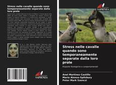 Bookcover of Stress nelle cavalle quando sono temporaneamente separate dalla loro prole