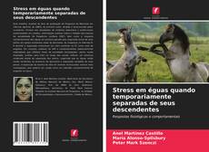 Capa do livro de Stress em éguas quando temporariamente separadas de seus descendentes 