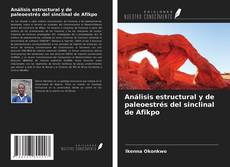 Bookcover of Análisis estructural y de paleoestrés del sinclinal de Afikpo