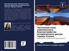 Bookcover of Частичный план комплексного благоустройства исторического центра города Усакен.