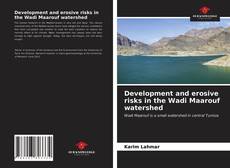 Borítókép a  Development and erosive risks in the Wadi Maarouf watershed - hoz