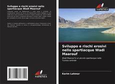 Buchcover von Sviluppo e rischi erosivi nello spartiacque Wadi Maarouf