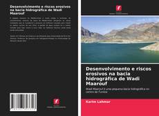 Copertina di Desenvolvimento e riscos erosivos na bacia hidrográfica de Wadi Maarouf