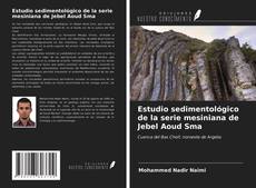 Bookcover of Estudio sedimentológico de la serie mesiniana de Jebel Aoud Sma