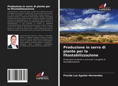 Copertina di Produzione in serra di piante per la fitostabilizzazione