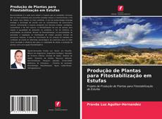 Bookcover of Produção de Plantas para Fitostabilização em Estufas