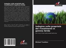 Copertina di Indagine sulle proprietà dei rivestimenti in gomma ibrida