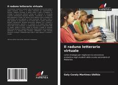 Il raduno letterario virtuale的封面