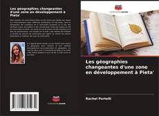 Bookcover of Les géographies changeantes d'une zone en développement à Pieta'