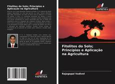 Buchcover von Fitolitos do Solo; Princípios e Aplicação na Agricultura