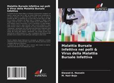 Buchcover von Malattia Bursale Infettiva nei polli & Virus della Malattia Bursale Infettiva