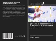 Обложка ¿Qué es el asesoramiento a empresas e industrias?