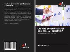 Copertina di Cos'è la consulenza per Business & Industrial?