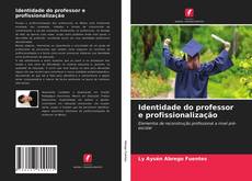 Bookcover of Identidade do professor e profissionalização