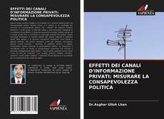 Copertina di EFFETTI DEI CANALI D'INFORMAZIONE PRIVATI: MISURARE LA CONSAPEVOLEZZA POLITICA