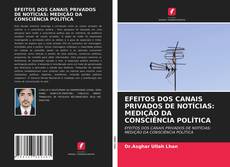 EFEITOS DOS CANAIS PRIVADOS DE NOTÍCIAS: MEDIÇÃO DA CONSCIÊNCIA POLÍTICA kitap kapağı