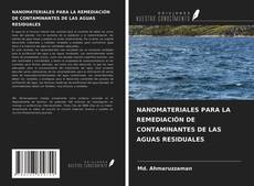 Couverture de NANOMATERIALES PARA LA REMEDIACIÓN DE CONTAMINANTES DE LAS AGUAS RESIDUALES