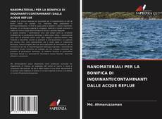 Copertina di NANOMATERIALI PER LA BONIFICA DI INQUINANTI/CONTAMINANTI DALLE ACQUE REFLUE