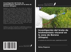 Bookcover of Investigación del brote de leishmaniasis visceral en la zona de Borena (Etiopía)