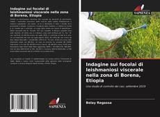 Indagine sui focolai di leishmaniosi viscerale nella zona di Borena, Etiopia kitap kapağı