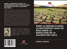 Buchcover von DANS LA RÉGION D'AGRA, LE BIOCOMPOST JOUE UN RÔLE DANS LA RÉDUCTION DE LA SALINITÉ DES SOLS