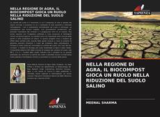 Bookcover of NELLA REGIONE DI AGRA, IL BIOCOMPOST GIOCA UN RUOLO NELLA RIDUZIONE DEL SUOLO SALINO