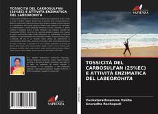 Bookcover of TOSSICITÀ DEL CARBOSULFAN (25%EC) E ATTIVITÀ ENZIMATICA DEL LABEOROHITA