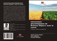 Couverture de Interactions physiologiques de Brassica Napus L avec le cuivre