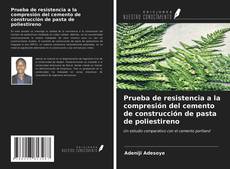 Bookcover of Prueba de resistencia a la compresión del cemento de construcción de pasta de poliestireno