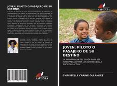 JOVEN, PILOTO O PASAJERO DE SU DESTINO的封面