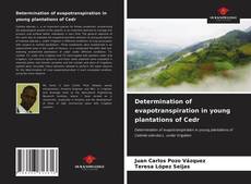 Portada del libro de Determination of evapotranspiration in young plantations of Cedr