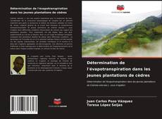 Buchcover von Détermination de l'évapotranspiration dans les jeunes plantations de cèdres
