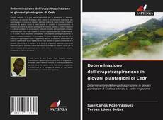 Bookcover of Determinazione dell'evapotraspirazione in giovani piantagioni di Cedr