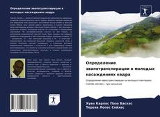 Определение эвапотранспирации в молодых насаждениях кедра的封面