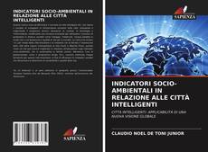 INDICATORI SOCIO-AMBIENTALI IN RELAZIONE ALLE CITTÀ INTELLIGENTI kitap kapağı